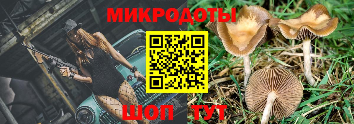 Галлюциногенные грибы GOLDEN TEACHER  Галлюциногенные грибы Cubensis  Вход с VPN  Семилуки 